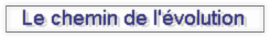 Le chemin de l'évolution